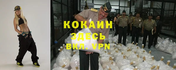 гашик Белокуриха