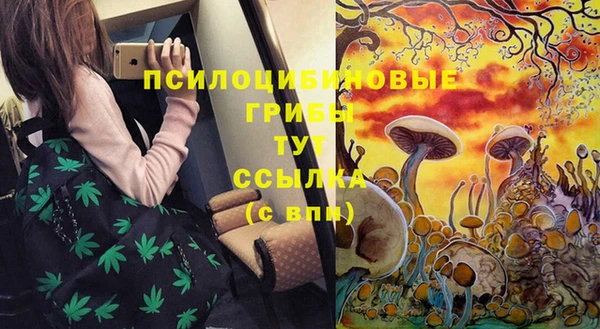 гашик Белокуриха